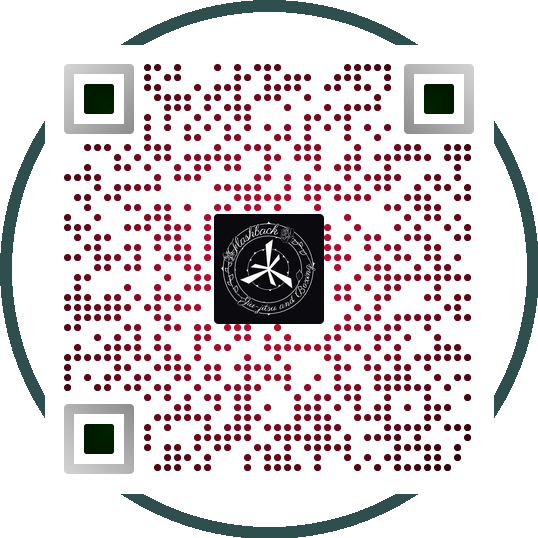 Professional QR Code 7